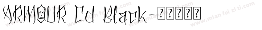 ARMOUR Cd Black字体转换